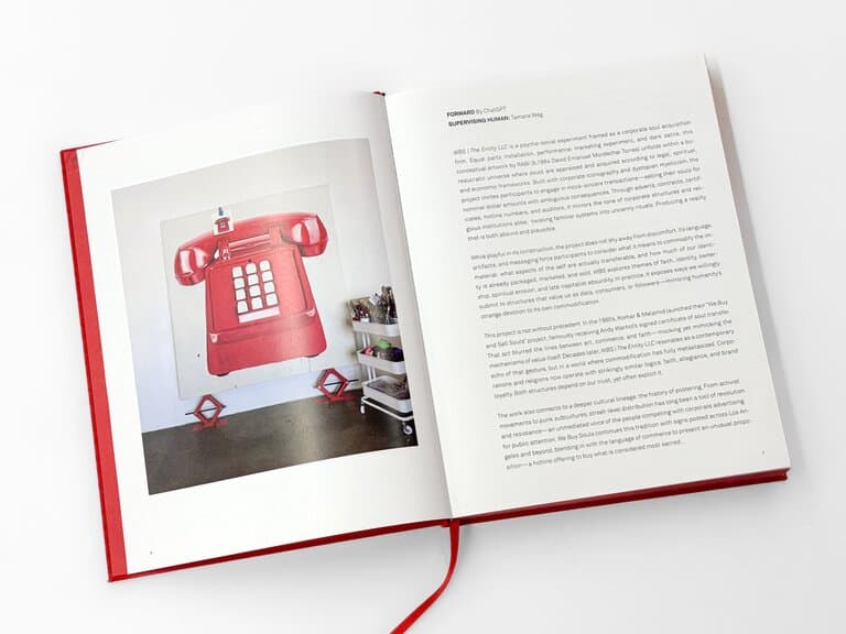 We Buy Souls book gallery image 8