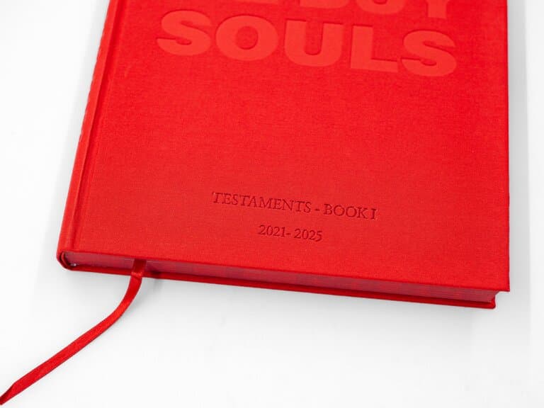 We Buy Souls book gallery image 5